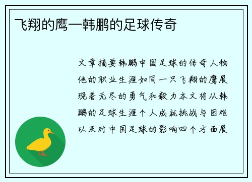 飞翔的鹰—韩鹏的足球传奇