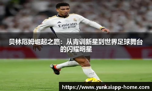 kaiyun云开全站